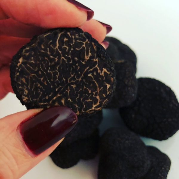 Spanish Fresh Perigord Truffles